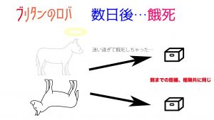 新しい事を始めようとする人は ブリタンのロバ になりがち 副業はじめる Com